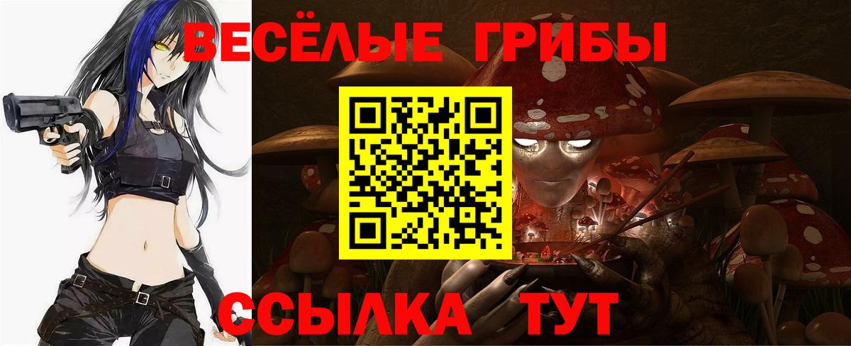 Вологда  Псилоцибиновые грибы Psilocybe  Вход с VPN  Галлюциногенные грибы мицелий 