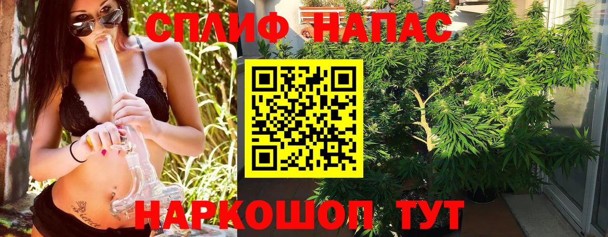 Марихуана план Вологда