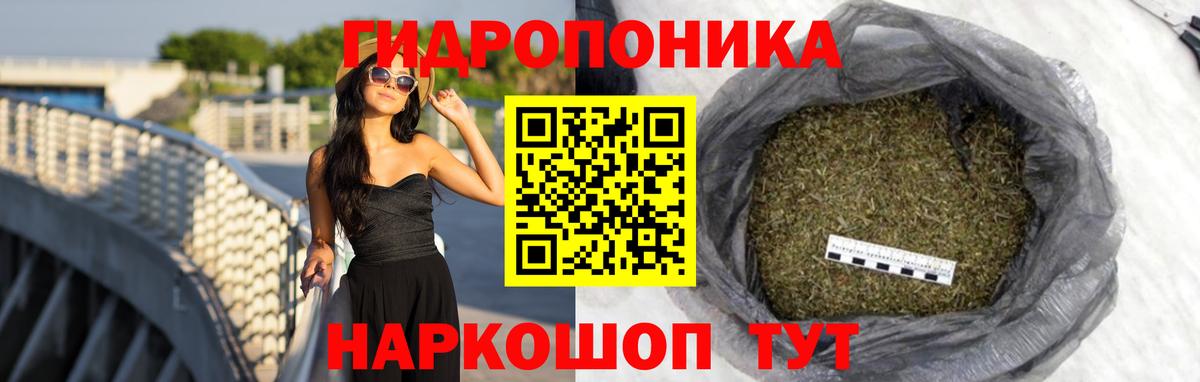 Канабис семена  Конопля VHQ  Вологда  Канабис планчик  Вход с VPN  Бошки Шишки планчик 